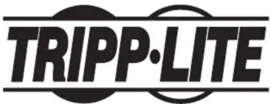Tripp Lite PDU3XVN6G20 - Información de sobre Cumplimiento de la WEEE para Clientes de Tripp Lite y Recicladores (Unión Europea) - 2
