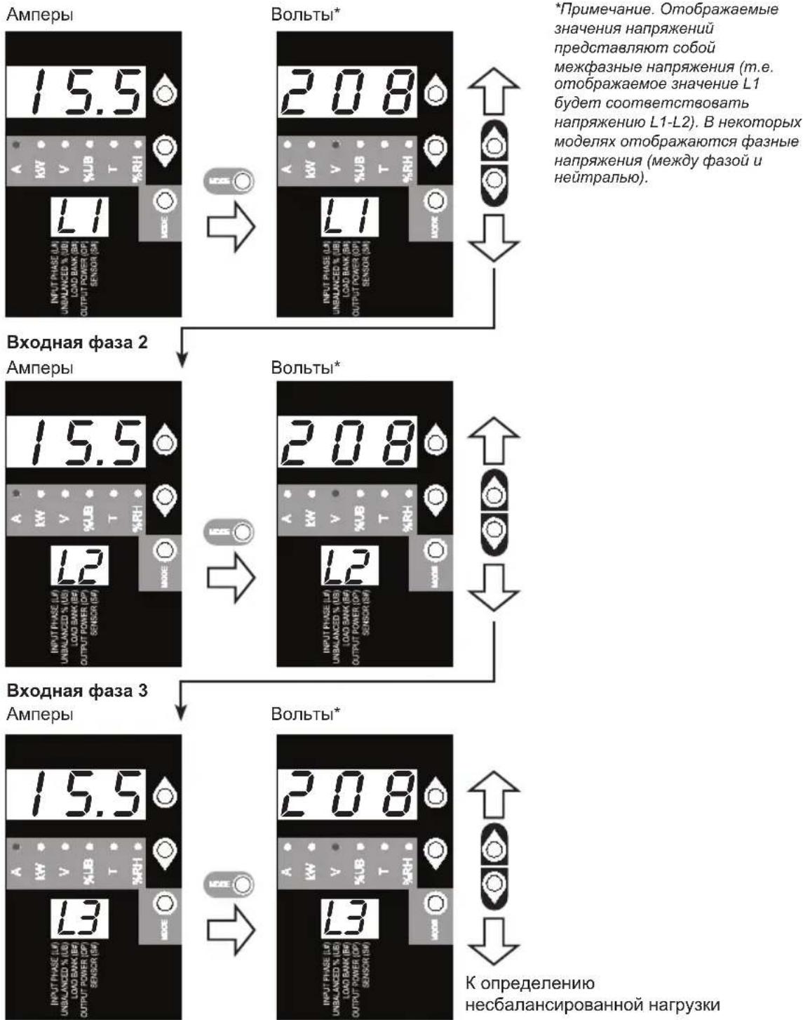 Tripp Lite PDU3XVN6G20 - PpokpyTka BXoHbIX 0a3 n onu (n3MepntbHa Kateropna) - 1