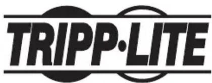 Tripp Lite N035001 - L'information de conformité WEEE pour les clients de Tripp Lite et recycleurs (Union européenne) - 1