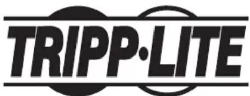 Tripp Lite PDUMNH30HVAT - Информация по выполнению требований Директивы WEEE для покупателей и переработчиков продукции компании Tripp Lite (являющихся резидентами Европейского союза) - 2