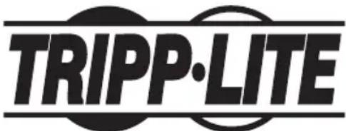 Tripp Lite PDUMNH20HVAT - Información de Cumplimiento con WEEE por los Clientes y Recicladores de Tripp Lite (Unión Europea) - 2