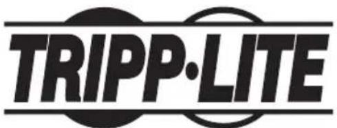 Tripp Lite PDUMNH20HVAT - PROTECT YOUR INVESTMENT! - 3