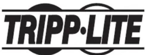Tripp Lite PDUMNH20HVAT - Informations sur la conformité DEEE pour les clients et les recycleurs de Tripp Lite (Union européenne) - 2