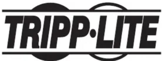 Tripp Lite U208002IND - Información de Cumplimiento con WEEE para Clientes y Recicladores de Tripp Lite (Unión Europea) - 2