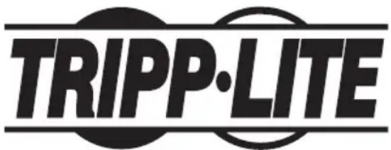Tripp Lite PDU3EVSR10L2130 - Renseignements sur la conformité à la directive DEEE pour les clients de Tripp Lite et les recycleurs (Union européenne) - 2