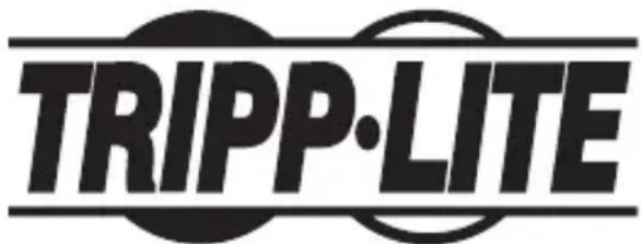Tripp Lite T040001DP - Информация по выполнению требований Директивы WEEE для покупателей и переработчиков продукции компании Tripp Lite (являющихся резидентами Европейского союза) - 2