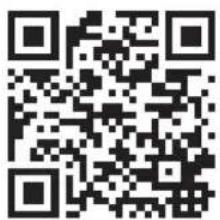 Tripp Lite PDU3VN10L1530B - PROTECT YOUR INVESTMENT! - 2