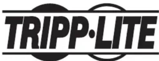 Tripp Lite PDU3VN10L1530B - L'information de conformité WEEE pour les clients de Tripp Lite et recycleurs (Union européenne) - 2