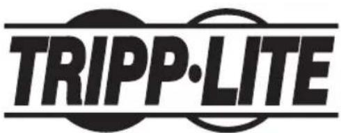Tripp Lite PDU3VN10L1530B - PROTECT YOUR INVESTMENT! - 3