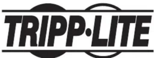 Tripp Lite PDU3VN10L1530B - Информация для клиентов компании Tripp Lite о соблюдении требований директивы EC об отходах электрического и электронного оборудования (WEEE) - 2