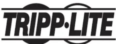 Tripp Lite B02100019HD2 - Информация по выполнению требований Директивы WEEE для покупателей и переработчиков продукции компании Tripp Lite (являющихся резидентами Европейского союза) - 2