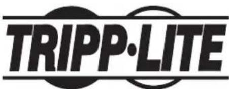 Tripp Lite NG16POE - Renseignements sur la conformité à la directive DEEE pour les clients de Tripp Lite et les recycleurs (Union européenne) - 2