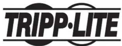 Tripp Lite WorkWise DWTSC3255MUL - Geneigte Wandhalterung für flache und gekrümmte Bildschirme - Sicherhei tsausführung - 4