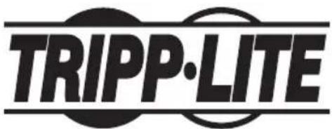 Tripp Lite DWTPSC4555M - 1