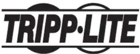 Tripp Lite DWTPSC4555M - Montage mural incliné pour panneau plat portrait - 5