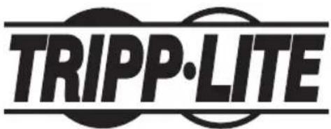 Tripp Lite DWTPSC4555M - (mit Sicherheitsvorrichtung) - 5