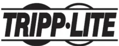 Tripp Lite CSCSTORAGE1 - Información de Cumplimiento con WEEE para Clientes y Recicladores de Tripp Lite (Unión Europea) - 2