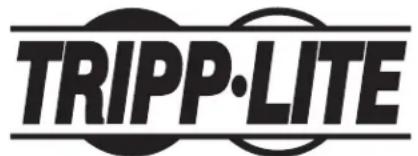 Tripp Lite CSCSTORAGE1 - Renseignements sur la conformité à la directive DEEE pour les clients de Tripp Lite et les recycleurs (Union européenne) - 2