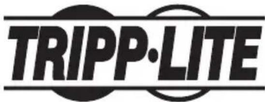 Tripp Lite U3361GSFP - 3-Year Limited Warranty - 1