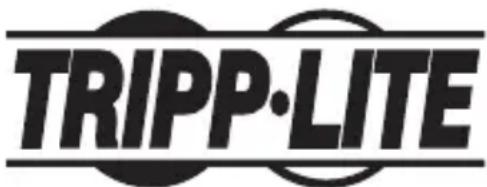 Tripp Lite U442DOCK1B - L'information de conformité WEEE pour les clients de Tripp Lite et recycleurs (Union européenne) - 2