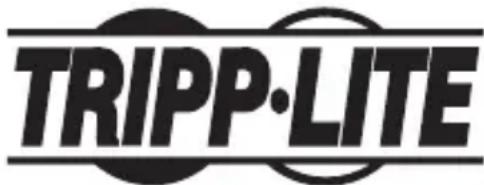 Tripp Lite U442DOCK1B - Información de sobre Cumplimiento de la WEEE para Clientes de Tripp Lite y Recicladores (Unión Europea) - 2