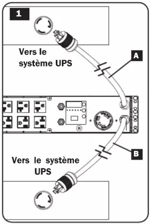 Tripp Lite PDUMH32HVATNET - Brancher les fiches d'entrée de la PDU : - 1