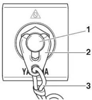 YAMAHA Helm Master EX DEC - A VERTISSEMENT - 1