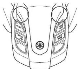 YAMAHA Helm Master EX DEC - REMARQUE: - 2