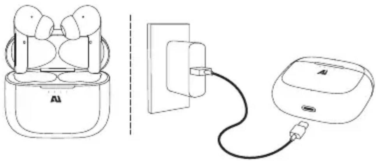 Ausounds AUFrequency ANC - CHARGE EARBUDS FOR 1 HOUR BEFORE FIRST USE - 1