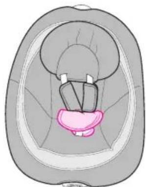 GRACO DuetConnect - - Caractéristiques de certains modèles - 3