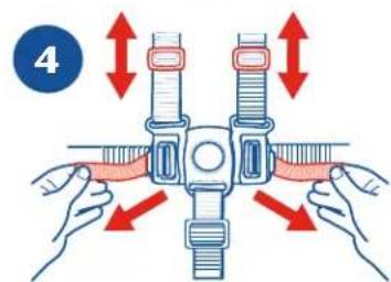 GRACO Blossom - Point harness • harnais à 5 points - 4