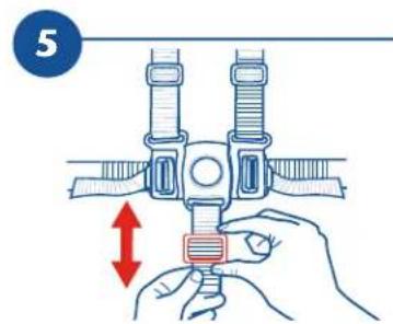 GRACO Blossom - Point harness • harnais à 5 points - 5