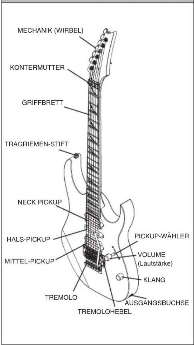 IBANEZ Premium SR1205E - 1