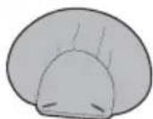 GRACO Simple Sway - Head support • Appui-tête • Apoyacabeza - 1