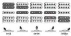 IBANEZ BTB675M - Guitar Electronics - 1
