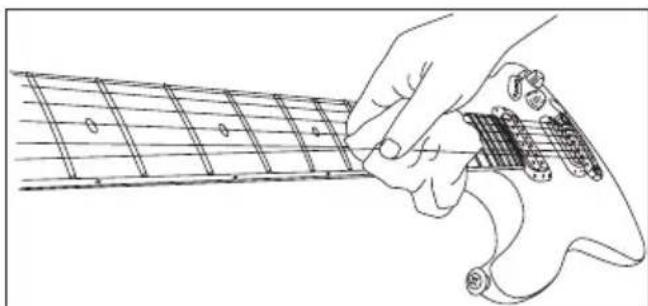 IBANEZ Iron Label SIR28FD - REINIGEN - 1