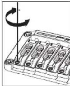 IBANEZ Iron Label RGIB6 - REGOLAZIONE DELL'ACTION - 2