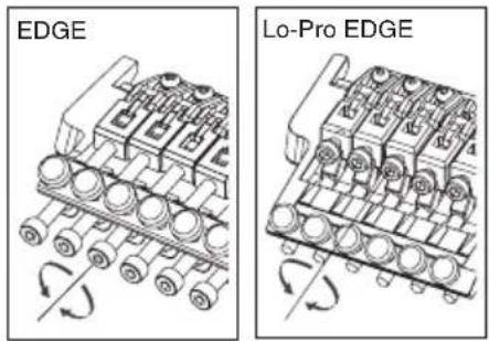 IBANEZ Artcore AMF73T - SOSTITUZIONE DELLE CORDE - 2