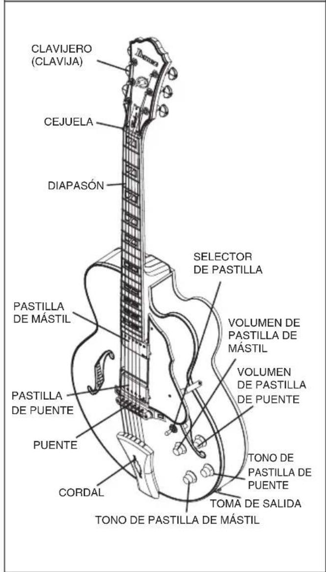 IBANEZ Artwood AC400 - ARTICULOS SUMINISTRADOS - 2