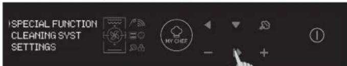 HOOVER HOVEN STEAM 700 PLUS HOZP0447BI - Operating In Special Functions Mode - 1