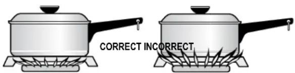 CORRECT INCORRECT