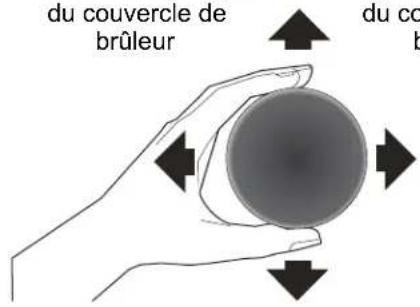 du couvercle de brûleur du co b