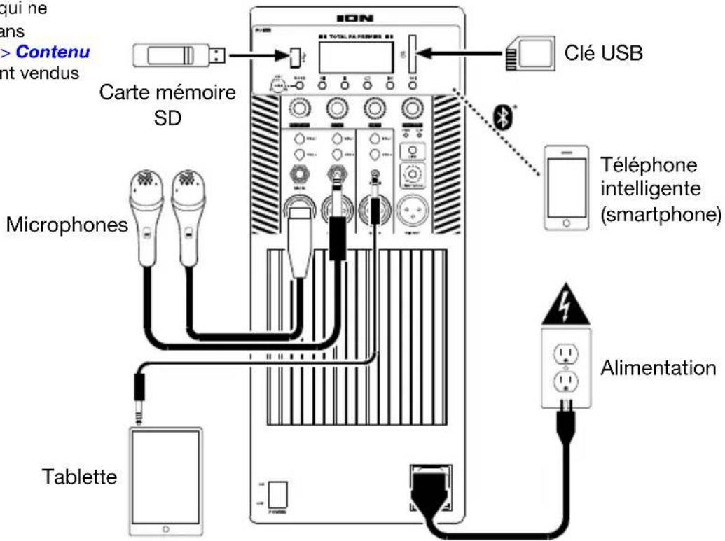 ION Total PA Premier - Schéma de connexion - 1
