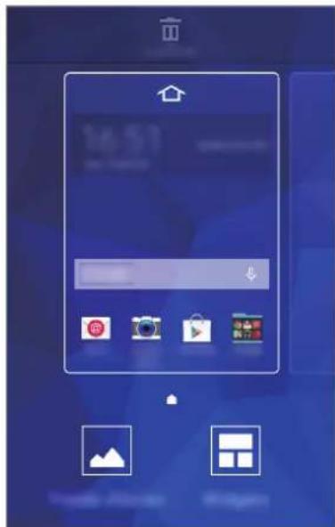 SAMSUNG Galaxy S Duos 3 - Options de l'écran d'accueil - 2
