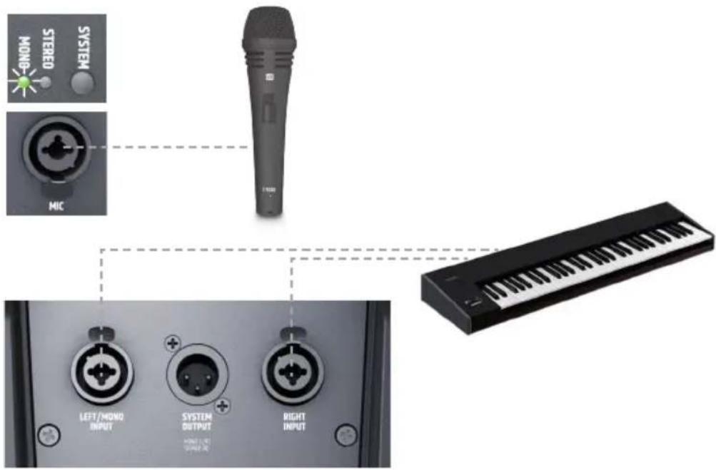 LD Systems MAUI 5 GO 100 - LINE INPUT LEFT/RIGHT - 1