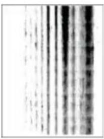 XEROX B230V - Traînées noires verticales et images manquantes - 1