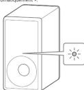 SONY SASW3 - 4