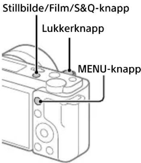 SONY ZVE10L - Ta stillbilder - 1