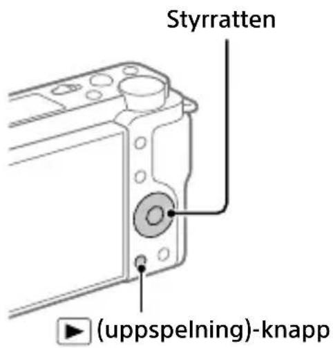 SONY ZVE10L - Uppspelning - 1