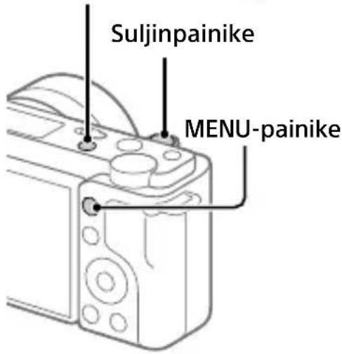SONY ZVE10L - Valokuvien kuvaaminen - 1